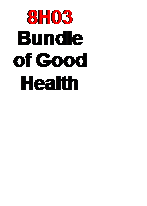 Text Box: 8H03
Bundle of Good Health 
