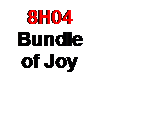 Text Box: 8H04
Bundle of Joy 

